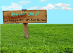 ارض سكنية للايجار ?? خارج العراق عمان-الاردن